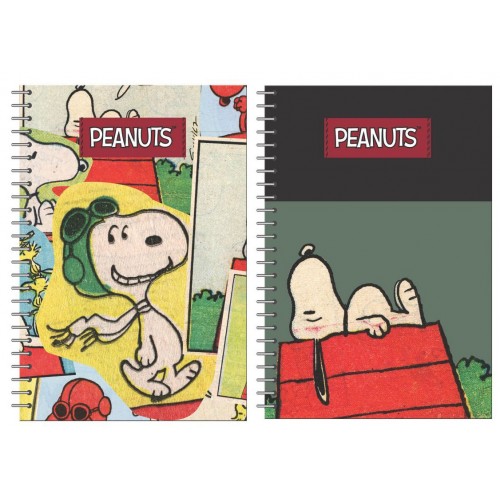 BMU Τετράδιο 17x25 Σπιράλ 2 Θεμ. 70φ Peanuts (365-01402)