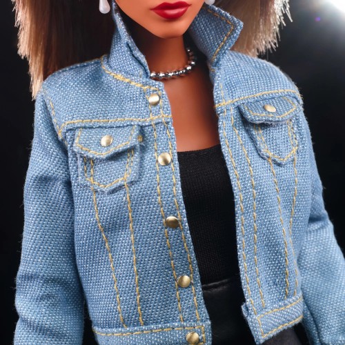 Barbie Συλλεκτική Tina Turner (HCB98)