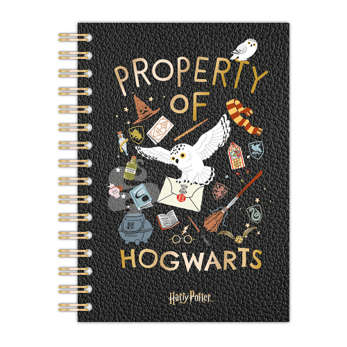 Harry Potter Σημειωματάριο (HP711667)