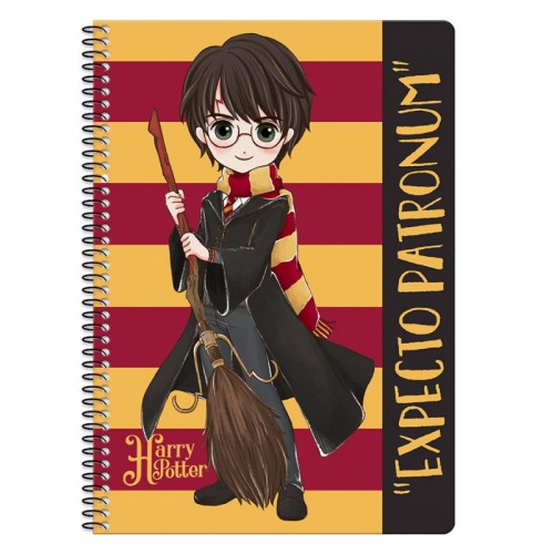 Τετράδιο 2Θεμάτων Harry Potter Hermione 21x29 (22405)