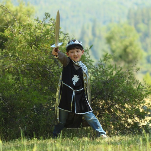 Great Pretenders Στολή Ιππότης με Ασημί Χιτώνα, Κάπα και Κορώνα 7-8 (61967)