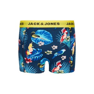 Jack and Jones Junior Εσώρουχα Σετ3 Bird Trunks (12195027)