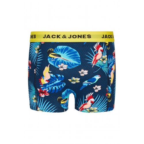 Jack and Jones Junior Εσώρουχα Σετ3 Bird Trunks (12195027)