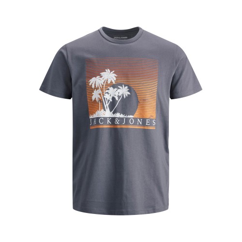 Jack and Jones Junior T-Shirt Palm Tree Grisaille (12201403)