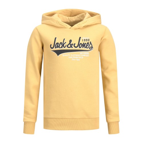 Jack and Jones Junior Φούτερ Hooded Logo Jojoba (12212287)