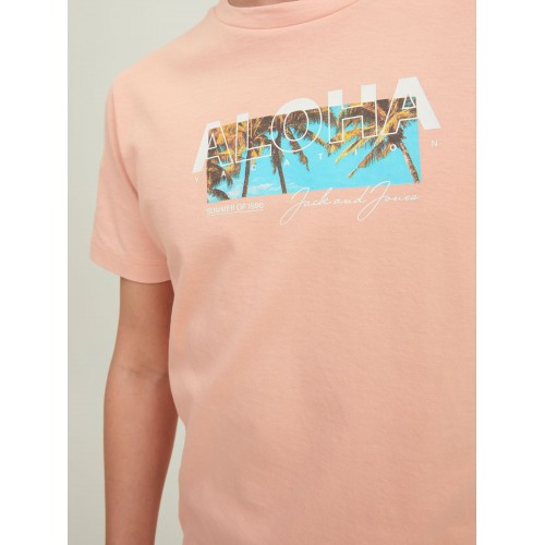 Jack and Jones Junior T-Shirt Jortbooster Coral Pink (12213624)