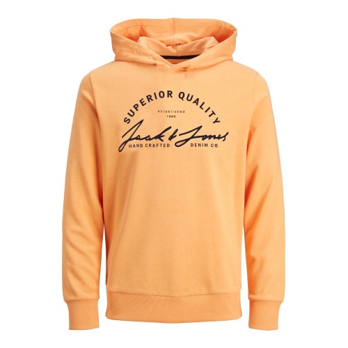 Jack and Jones Junior Summer Φούτερ Hood Pumpkin (12224094)