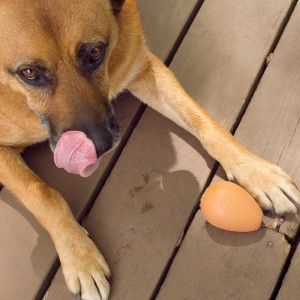 Kikkerland Bouncy Egg Dog Treat Ball (DIG06)