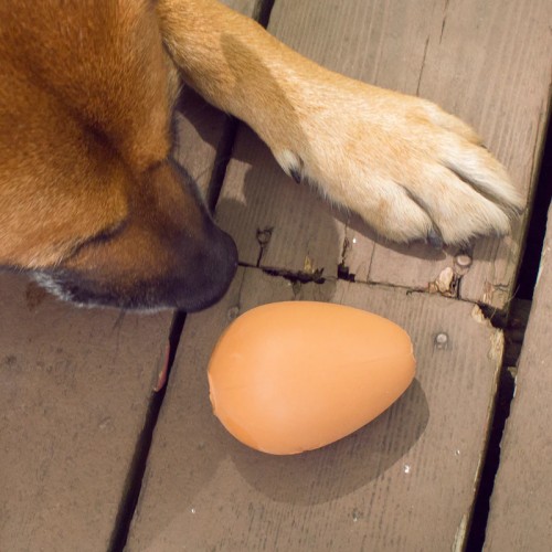 Kikkerland Bouncy Egg Dog Treat Ball (DIG06)