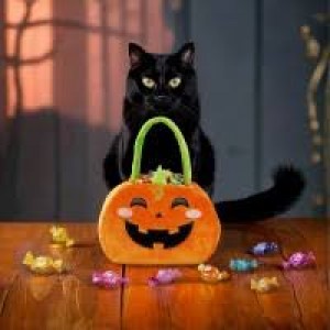 Legami Trick Or Treat Candy Bag-Pumpkin (HCB0001)