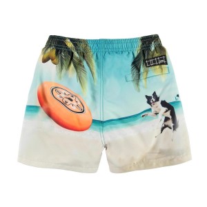 Molo Μαγιό Niko Boardies Frisbee (8S22P405-7580)