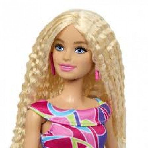 Barbie Fashionistas Πολύχρωμη (HRH20)