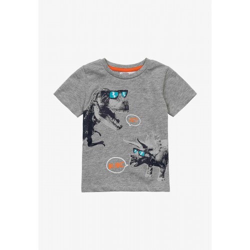Minoti T-shirt grey Dino (9TTEE2)