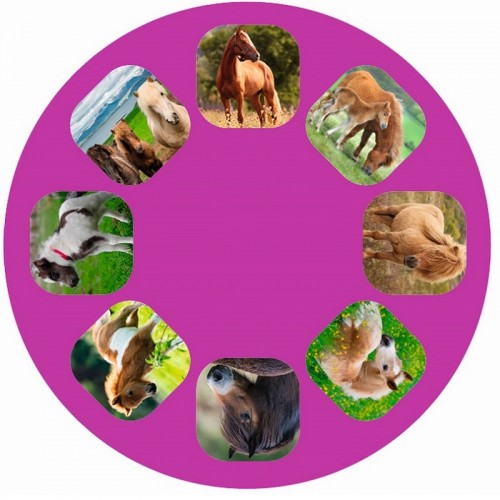 Moses Φακός Προτζέκτορας Άλογα (M38108)