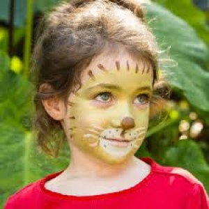 Namaki Lion & Giraffe Hero Face Paint Kit 3 colors (110088)