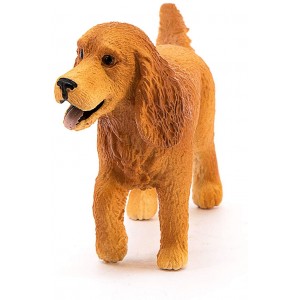 Σκύλος Cocker Spaniel (13896)