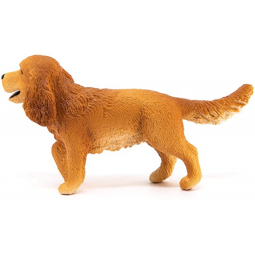 Σκύλος Cocker Spaniel (13896)