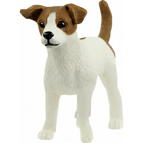 Σκύλος Jack Russell Terrier (13916) Σκύλος Jack Russell Terrier (13916)