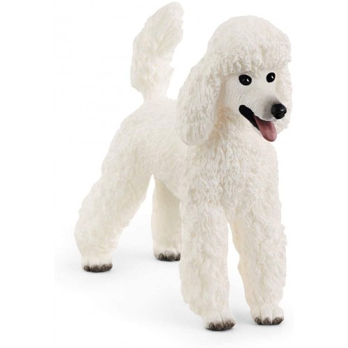 Σκύλος Poodle (13917)