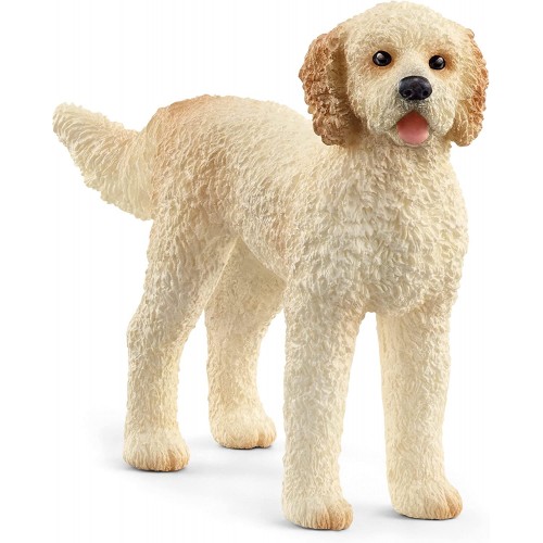 Golden Doodle (13939)