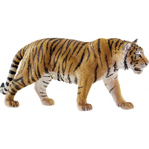 Τίγρης (14729)
