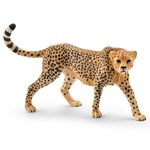 Cheetah Θηλυκή (14746)