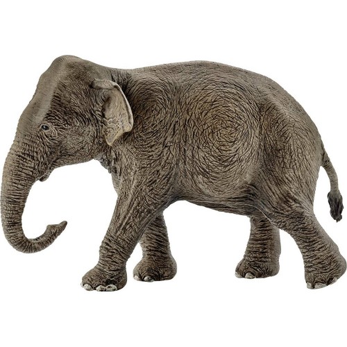 Ελέφαντας Ασιατικός Θηλυκός (14753)
