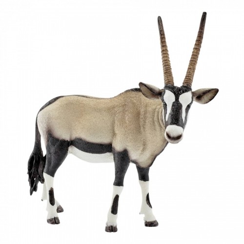 Αντιλόπη Oryx (14759)