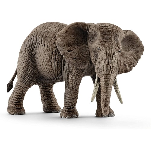 Ελέφαντας Αφρικανικός Θηλυκός (14761)