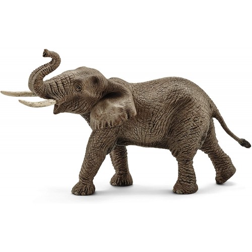 Ελέφαντας Αφρικανικός Αρσενικός (14762)