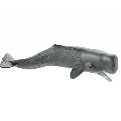 Φάλαινα Φυσητήρας (14764)