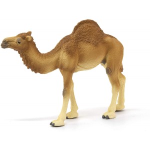 Καμήλα Αραβική (14832)