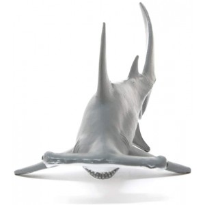Σφυροκέφαλος Καρχαρίας (14835)