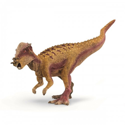 Παχυκεφαλόσαυρος (15024)