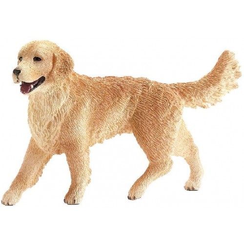 Labrador Golden Retriever (16395)