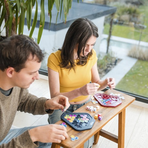 Smart Games Genius Gems (SGHP003) Smart Games Genius Gems (SGHP003)