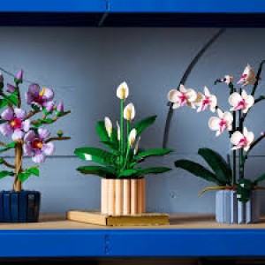 Lego Botanicals Peace Lily (11504)