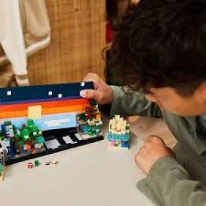 Lego Minecraft Mini Biomes (21589)