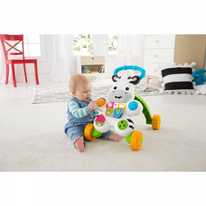 Fisher Price Στράτα Ζέβρα (DLD80)