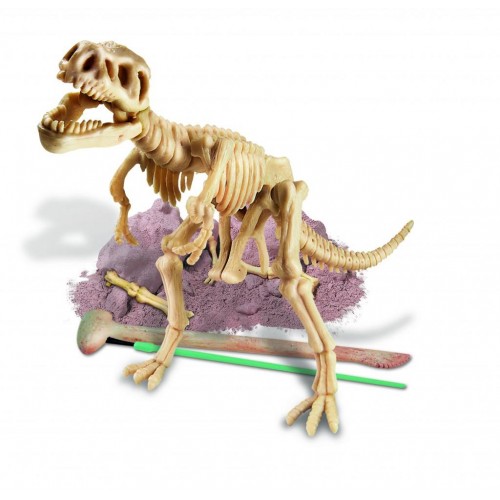 Ανασκαφή Τυραννόσαυρου (4M0007)