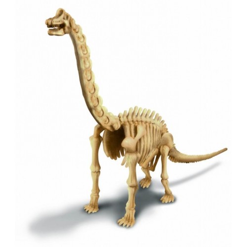 Ανασκαφή Βραχιόσαυρου (4M0008)