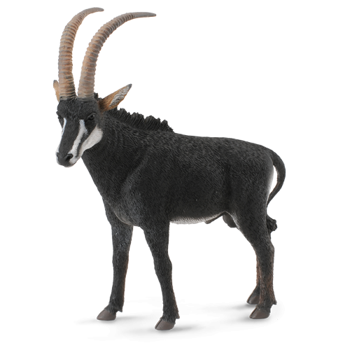 Collecta Γιγάντιος Ιππότραγος Αρσενικός (88564)