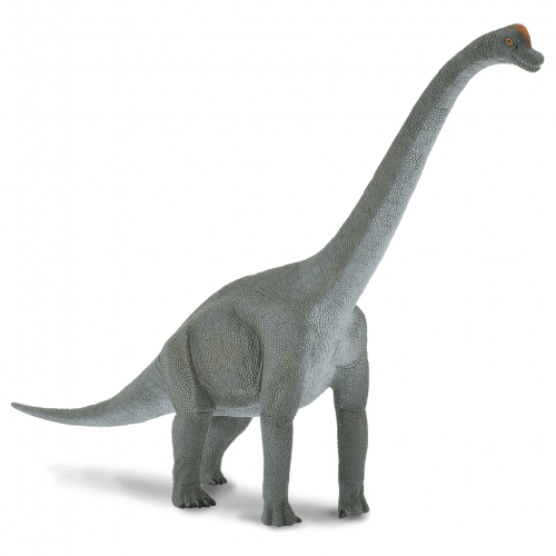Βραχιόσαυρος (88121)
