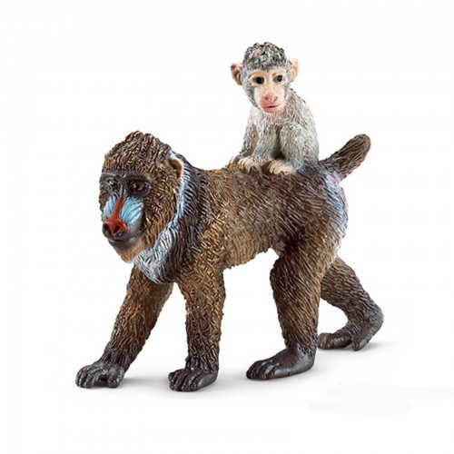 Μαϊμού Mandrill θηλυκή και μωρό (14716)