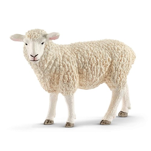Πρόβατο (13882)