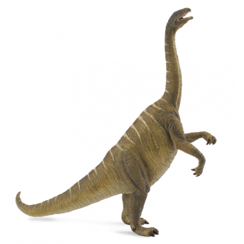 Πλατεόσαυρος (88513)