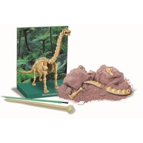 Ανασκαφή Βραχιόσαυρου (4M0008)